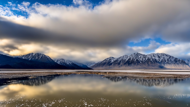 免费成人高清视频